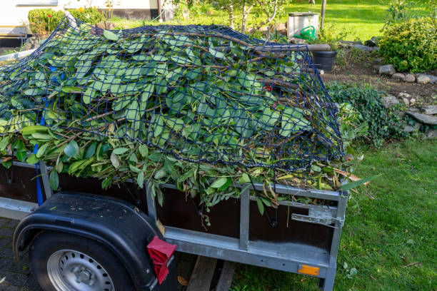 Same-Day Junk Removal Services in Boaz, WV